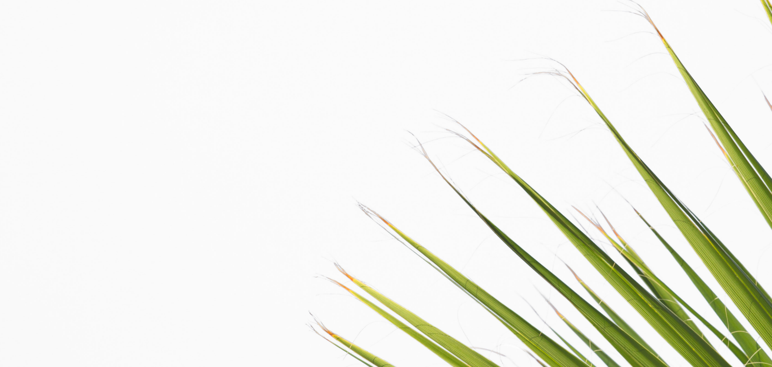 Consulting_ Background Image